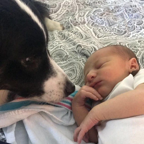 Meet your posher 😘❤️ - Picture 3 of 7